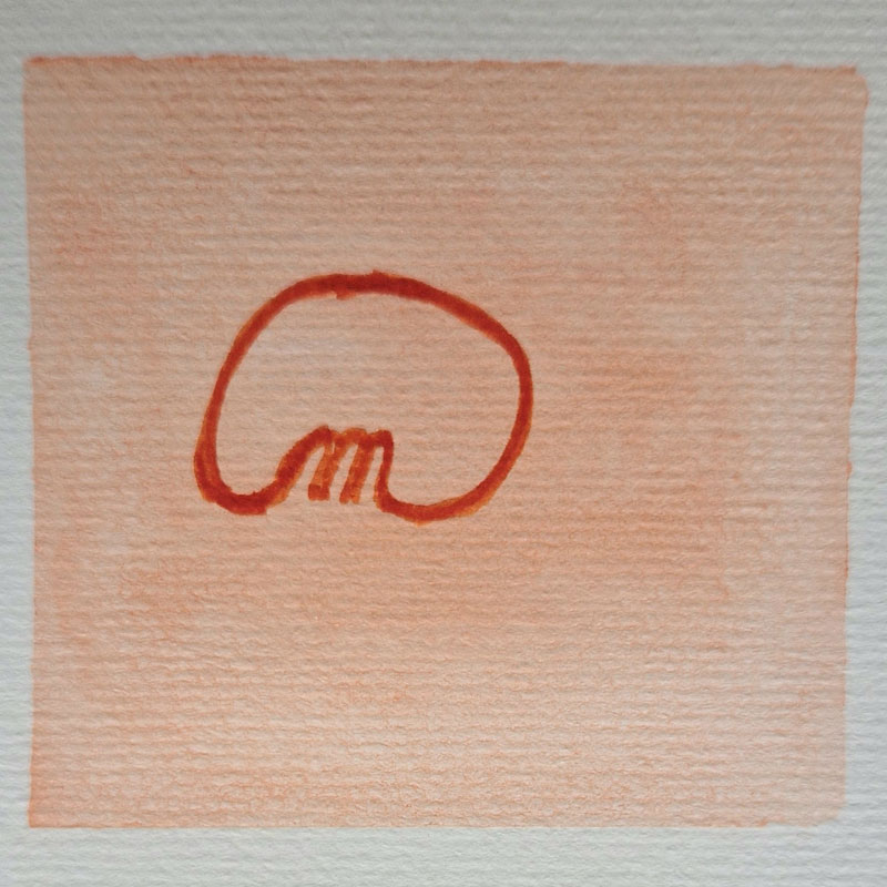 Exemple d'exercice graphothérapeute tracé et glissé pour corriger l'écriture enfant